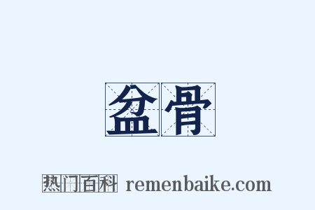 盆骨是什么意思的图片